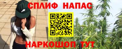 PSILOCYBIN Сланцы
